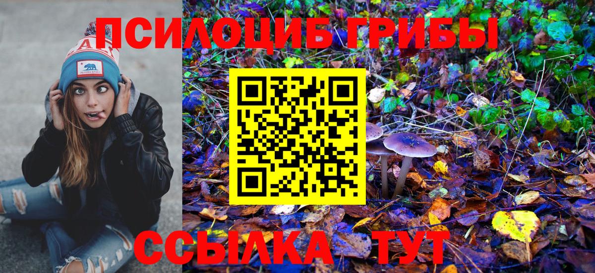 Галлюциногенные грибы Psilocybine cubensis Кондопога